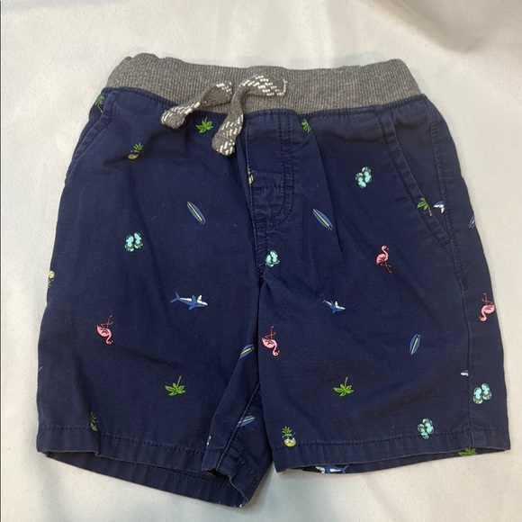 Bundle of 5 Carter’s Kids Colorful Shorts, BOYS Size 3T, preowned - Picture 11 of 16